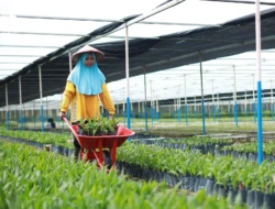 Langkah Nyata Astra Agro Bangun Industri Sawit Tangguh dan Berdaya Saing Global