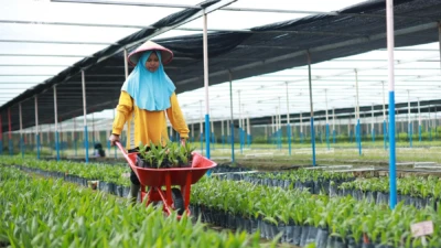 Langkah Nyata Astra Agro Bangun Industri Sawit Tangguh dan Berdaya Saing Global