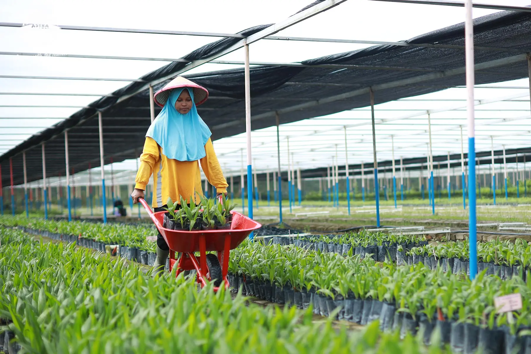 Langkah Nyata Astra Agro Bangun Industri Sawit Tangguh dan Berdaya Saing Global
