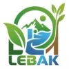 Dinas Lingkungan Hidup Kabupaten Lebak: Menjaga Alam, Membangun Masa Depan yang Lestari dan Hijau