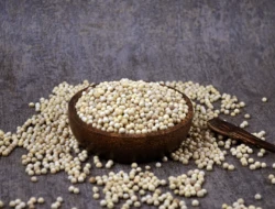 Kebutuhan Lada Putih di Industri Kuliner dan Tips Memilih Supplier Terpercaya