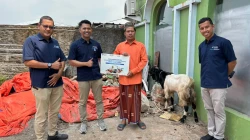 Sambut Idul Adha, PT MMI Bagikan Sapi Dan Kambing Untuk Masyarakat Sekitar Pelindo